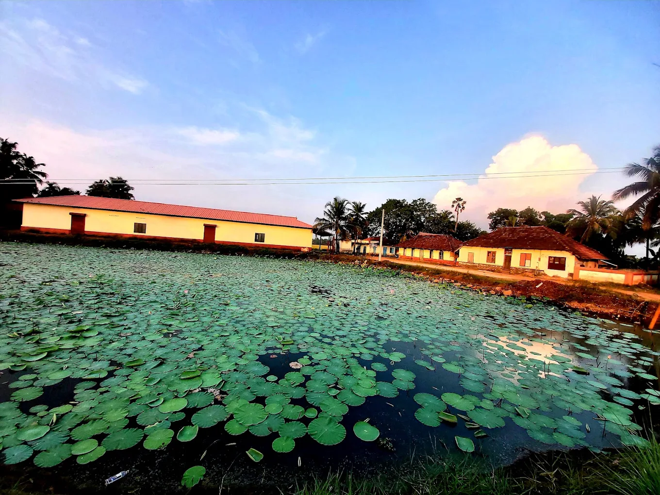 Images of Alappuzha Kochu Kodungalloor Kavu Devi Temple
