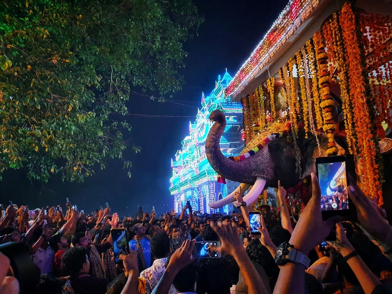 Vadakke Mankuzhy Bhadrakali  Sree Bhagavathi is an Shakthi devi in Hinduism