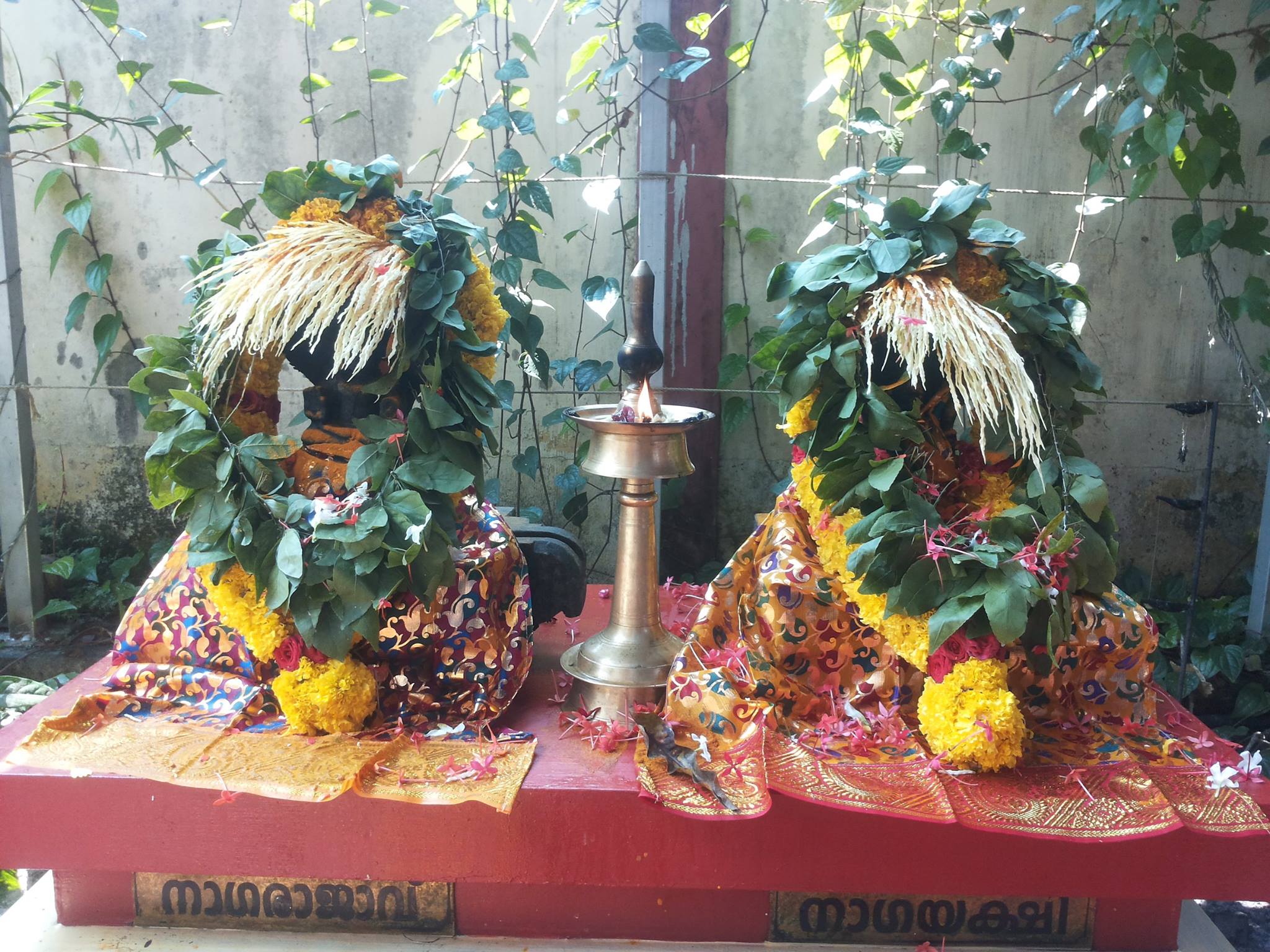 Cheriyakalam Shiva Nagaraja Temple