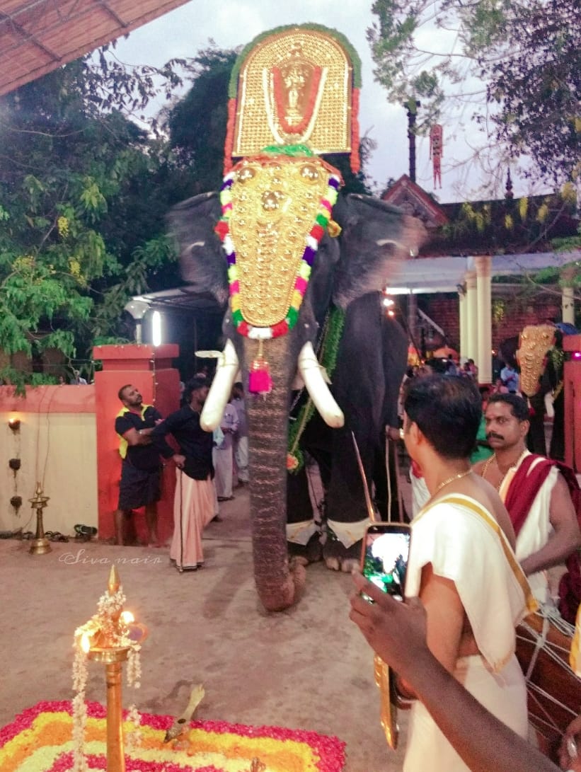 Thiruvilanjal Sree Bhagavathi  is an Shakthi devi in Hinduism