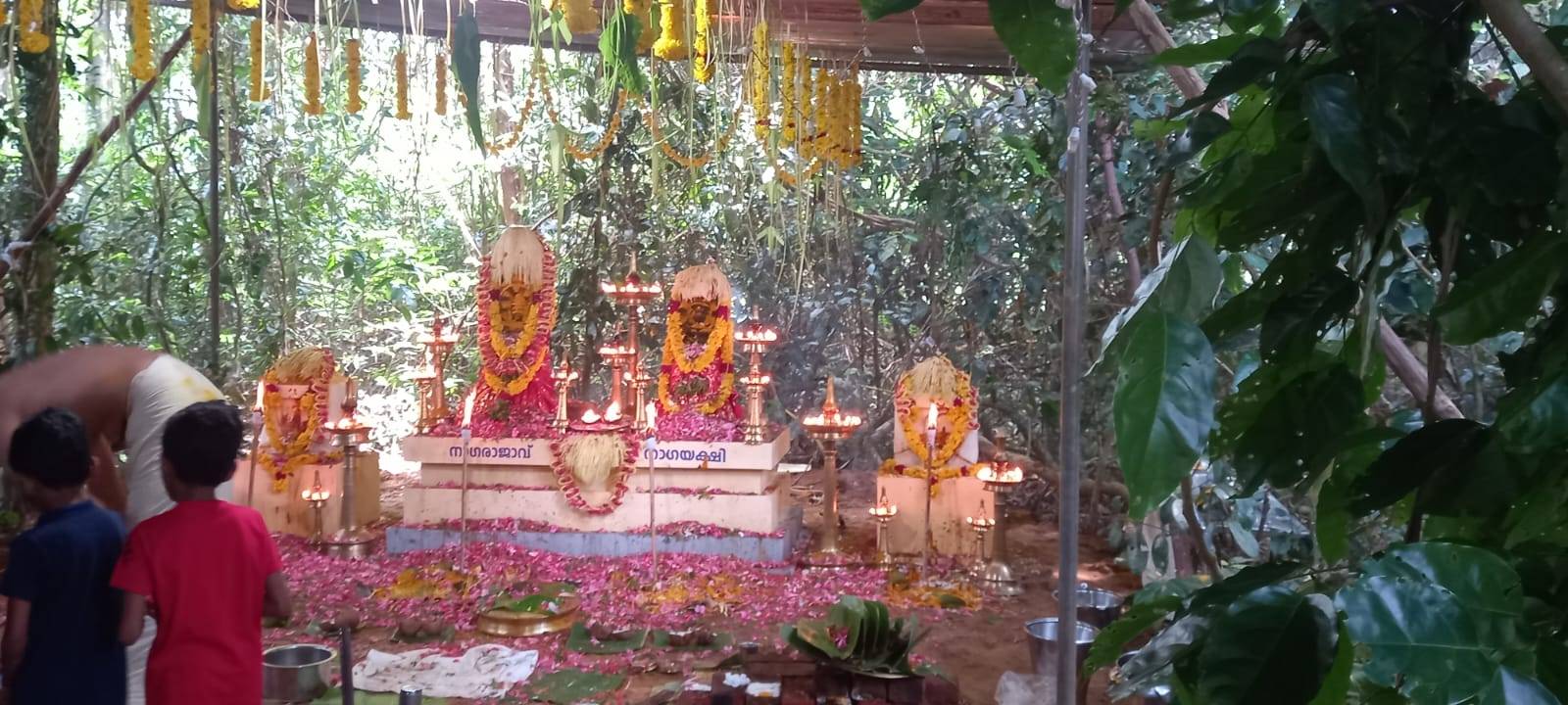 Panayannarkavu Devi   Temple in Kerala