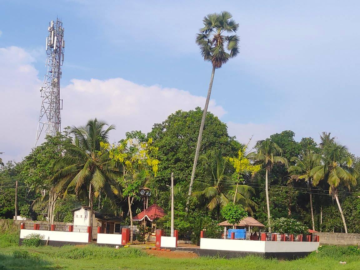 Images of Alappuzha Thripuliyoor Karimban Moorthi  krishna Temple