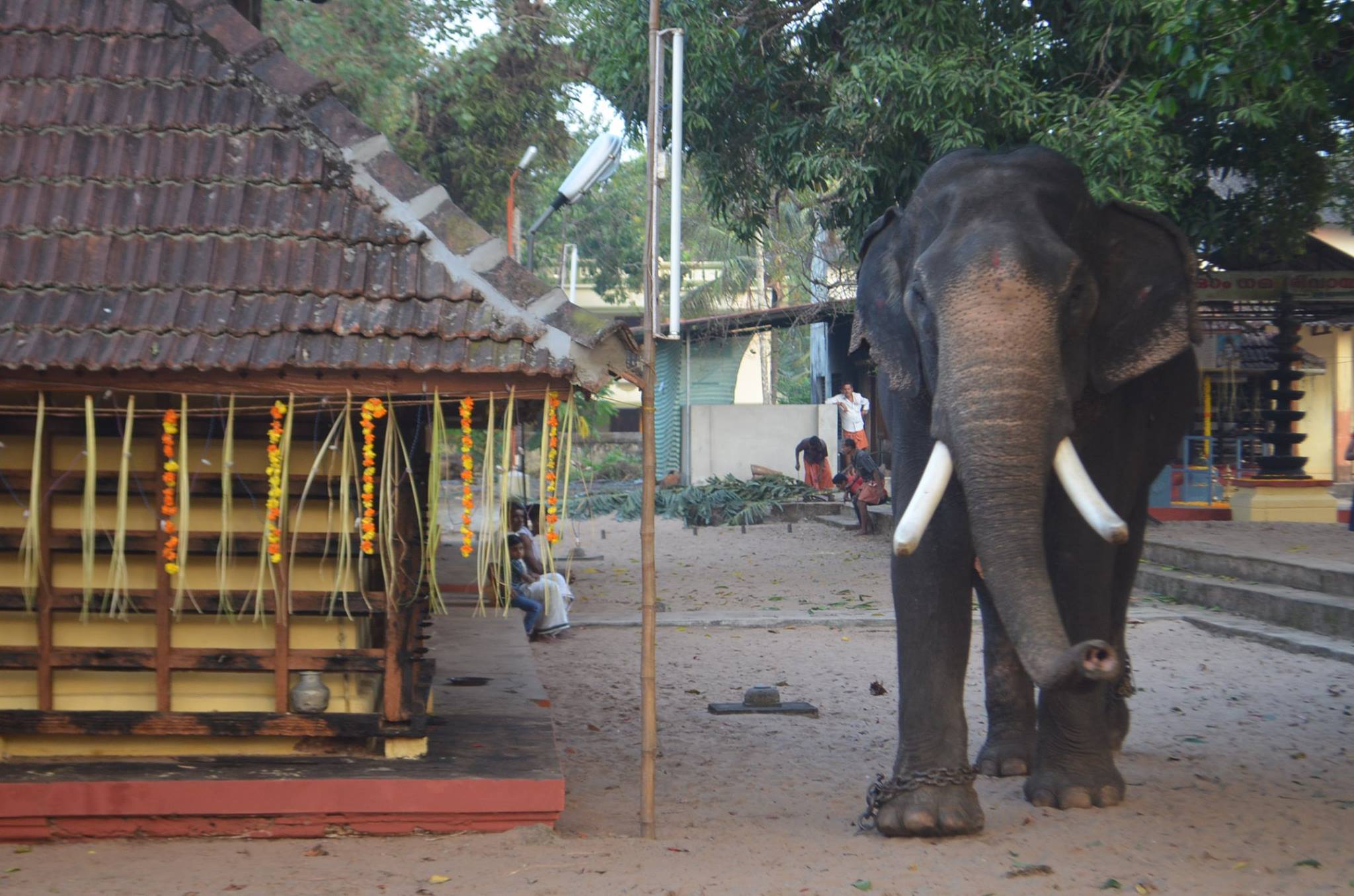 Kottamkulangara Sri Maha Vishnu is an Shakthi devi in Hinduism