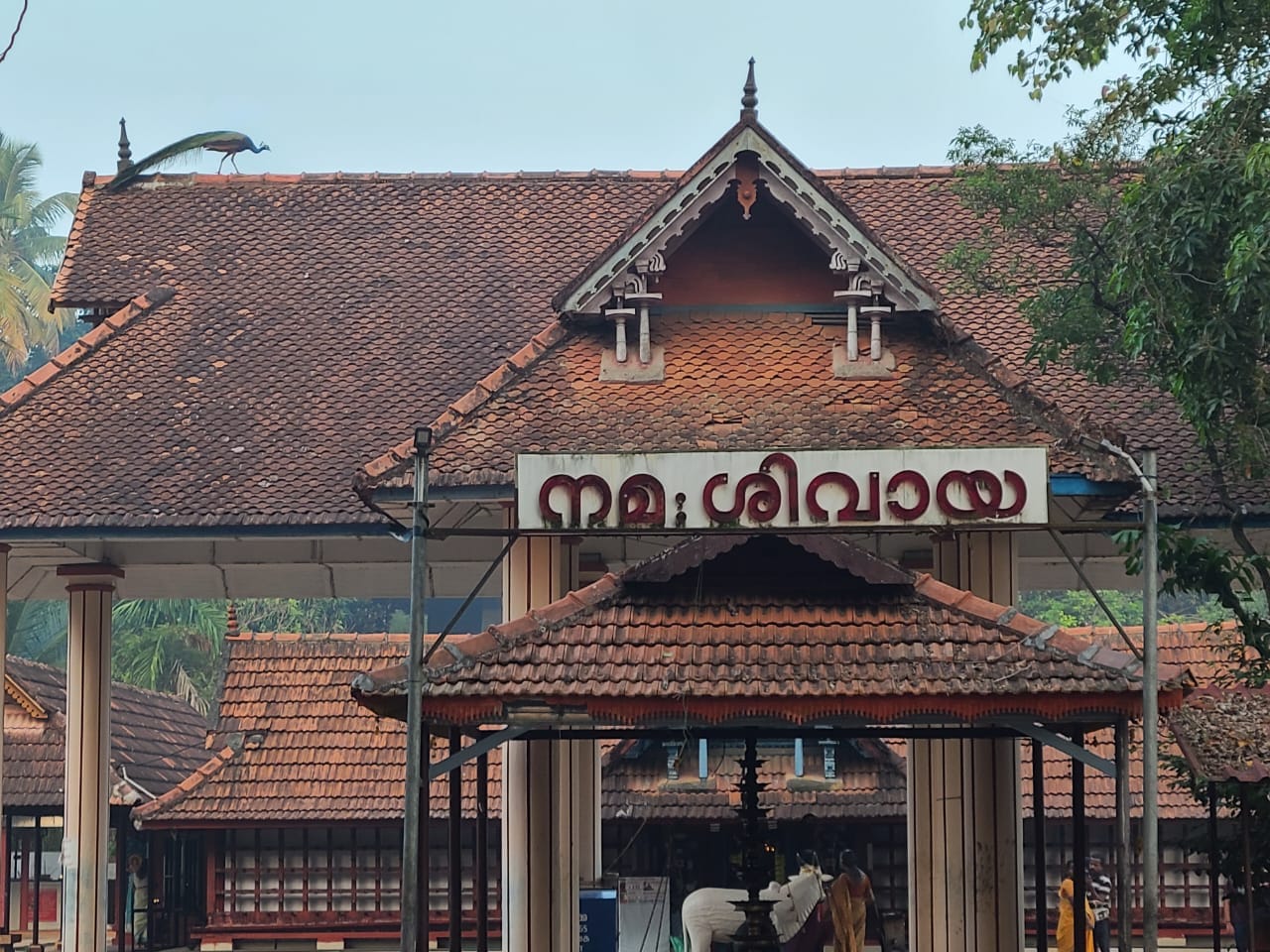 Images of Alappuzha Thondan Kulangara Sreemahadeva   krishna Temple