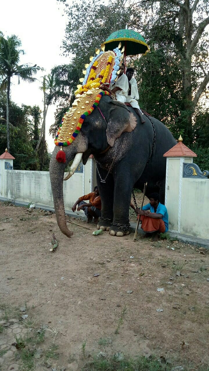 Pulikkunnu Sree Subrahmanya Swami  is an Shakthi devi in Hinduism