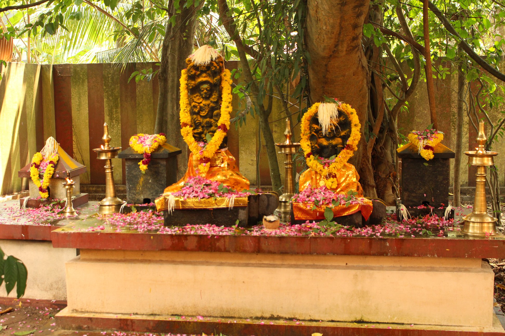 Arianoor Sri Bhadrakali temple Alappuzha Dresscode