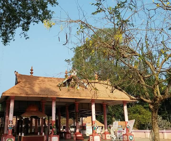 Images of Alappuzha Adichapuram Sree Mahadeva  Temple