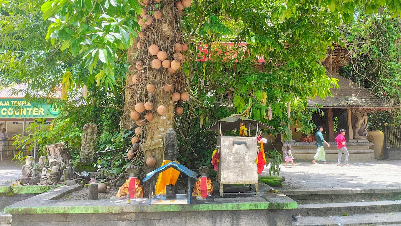 Mannarasala Sree Nagaraja Temple serpent grove Alappuzha Kerala sacred pilgrimage centre