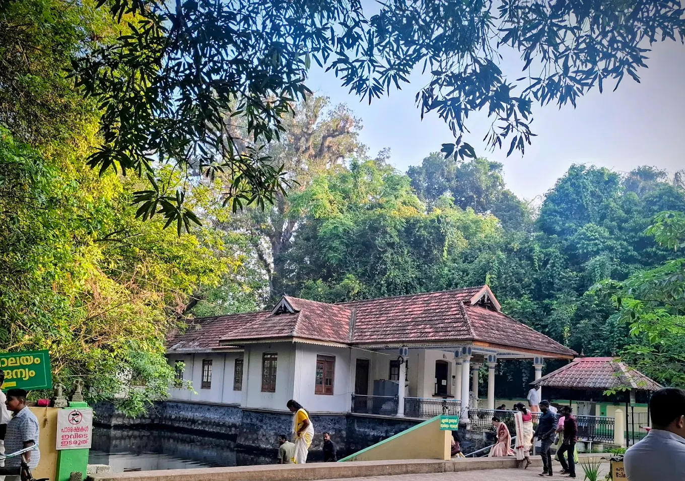 Mannarasala Nagaraja Temple Kerala serpent idols sacred shrine fertility blessing temple