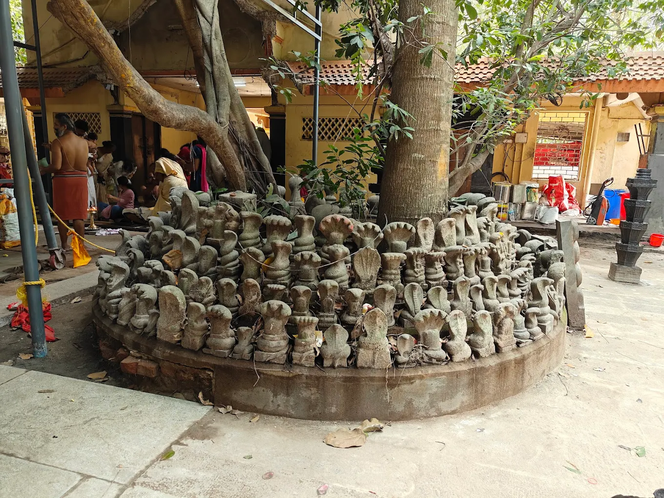 Ancient snake temple Mannarasala Sree Nagaraja Alappuzha devotional temple Kerala greenery surroundings