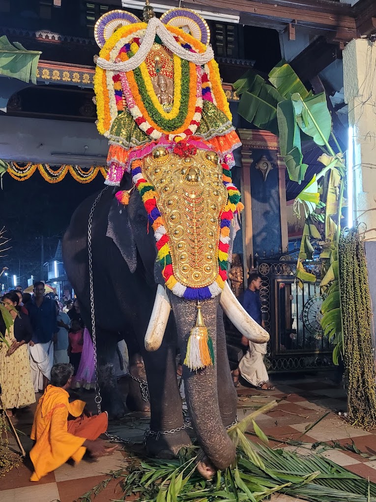 Makara Utsavam Evoor Sree Krishna Swamy Temple Alappuzha Kerala