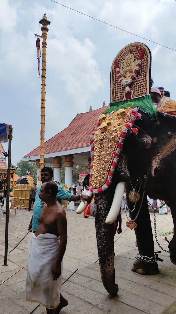 Mandala Mahotsavam Aravukad Sreedevi Temple Alappuzha Kerala