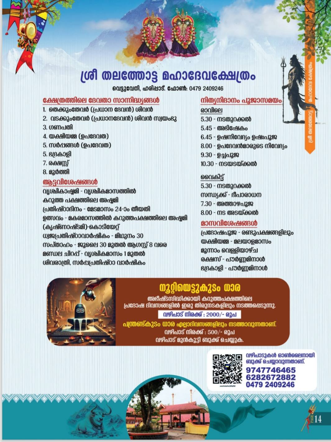 Nadaswaram and Panchavadyam music performances at festival