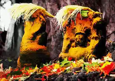 Aadimoolam Vetticode Sree Nagaraja Swami Temple entrance view