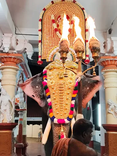 Durga Bhagavathi idol at Pallathamkulangara Temple