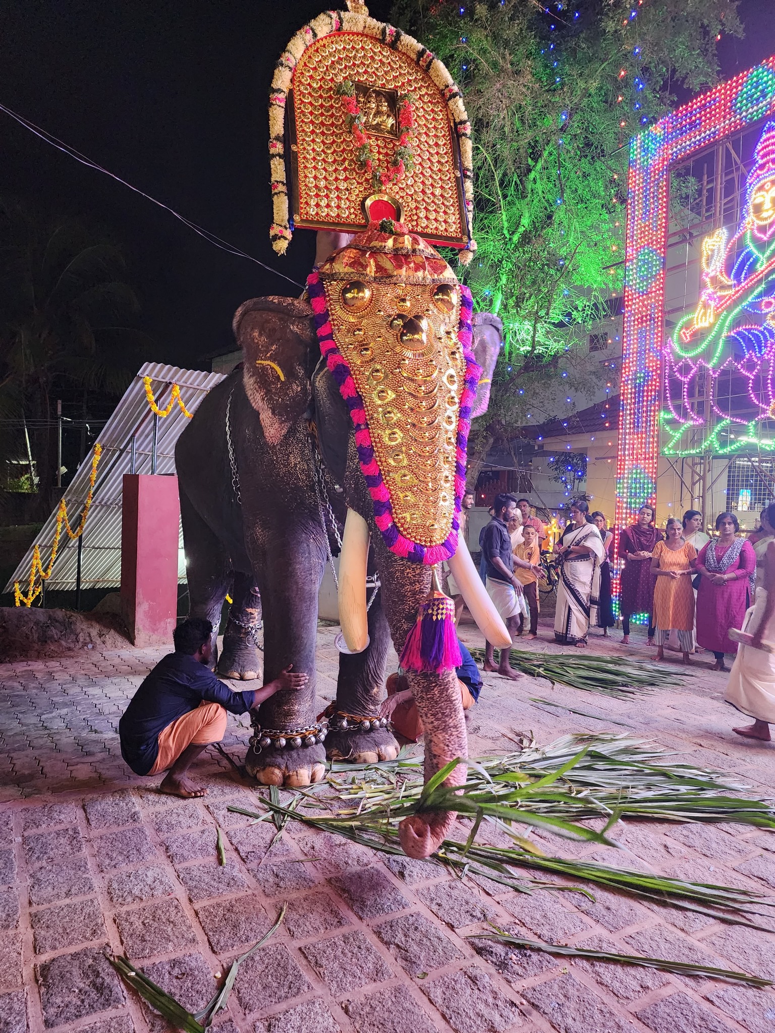 Kadavoor  Sree devi Temple Ernakulam Dresscode