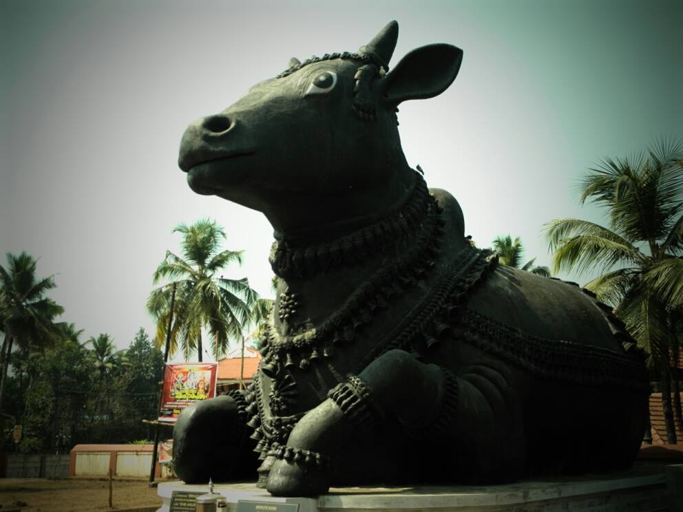 Aimury mahadeva Temple Ernakulam Dresscode