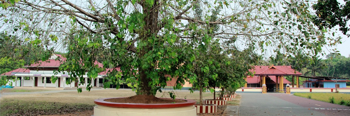 Airapuram Bhagavathi Temple Ernakulam