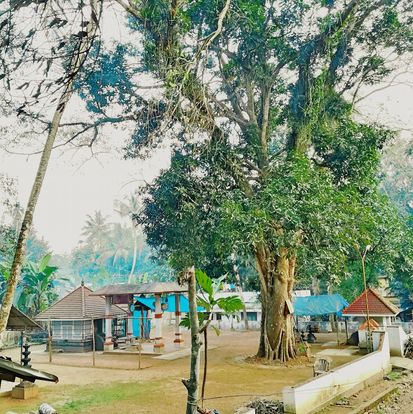 Naduvilethadam devi Temple Ernakulam Dresscode