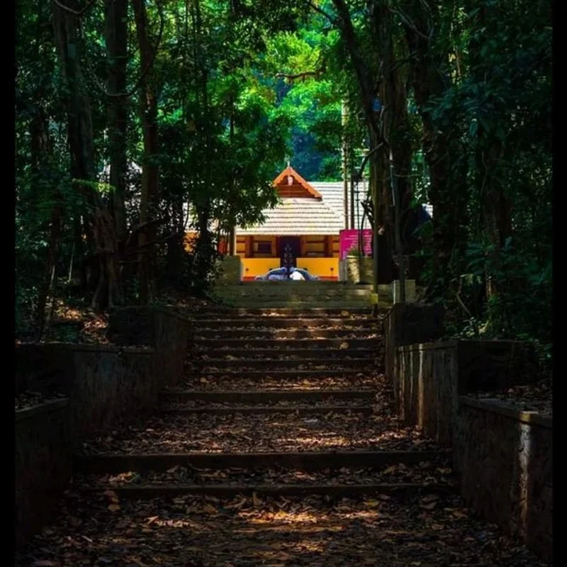 Iringole Bhagavathy Temple sacred forest temple dedicated to Goddess Durga in Kerala