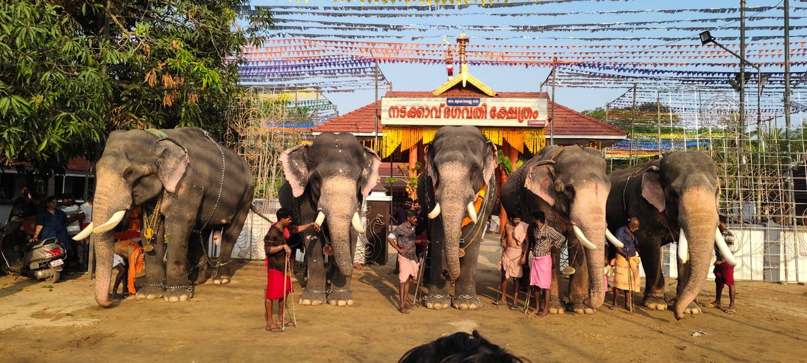 Nadakkavu Bhagavathi Temple in Kerala