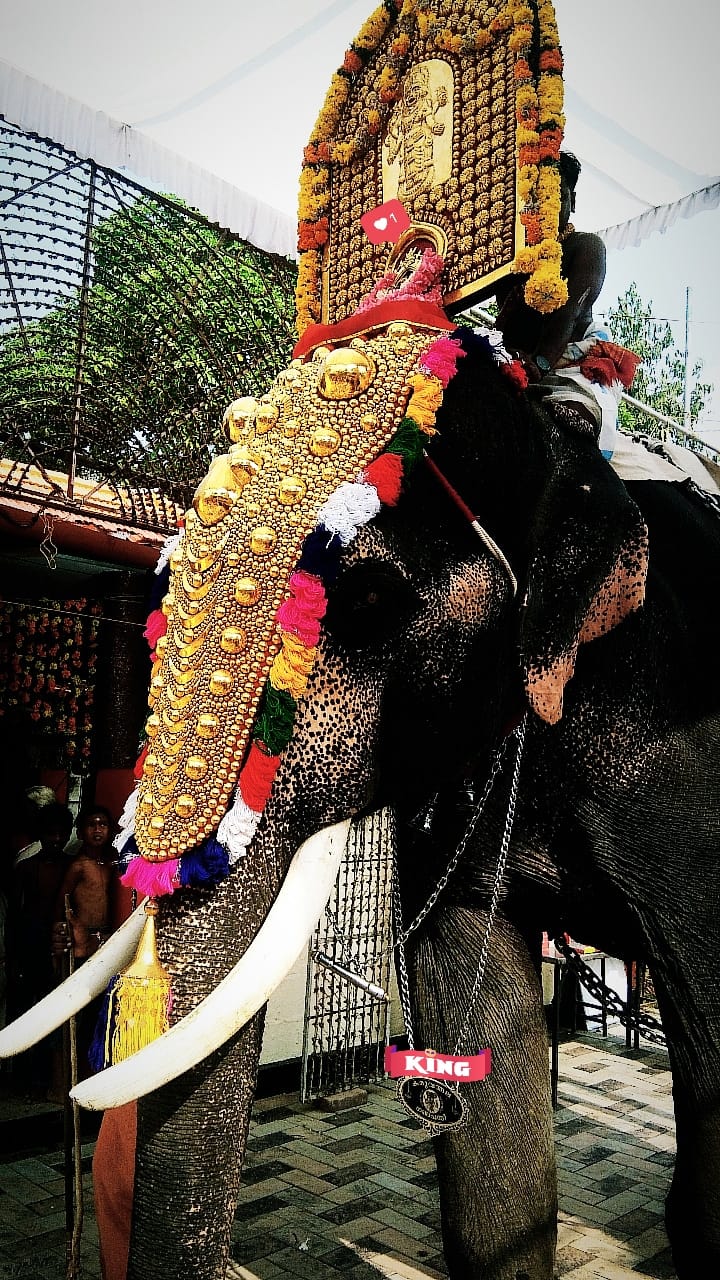 Images of Ernakulam Ayyankuzhi Baghavathy Temple