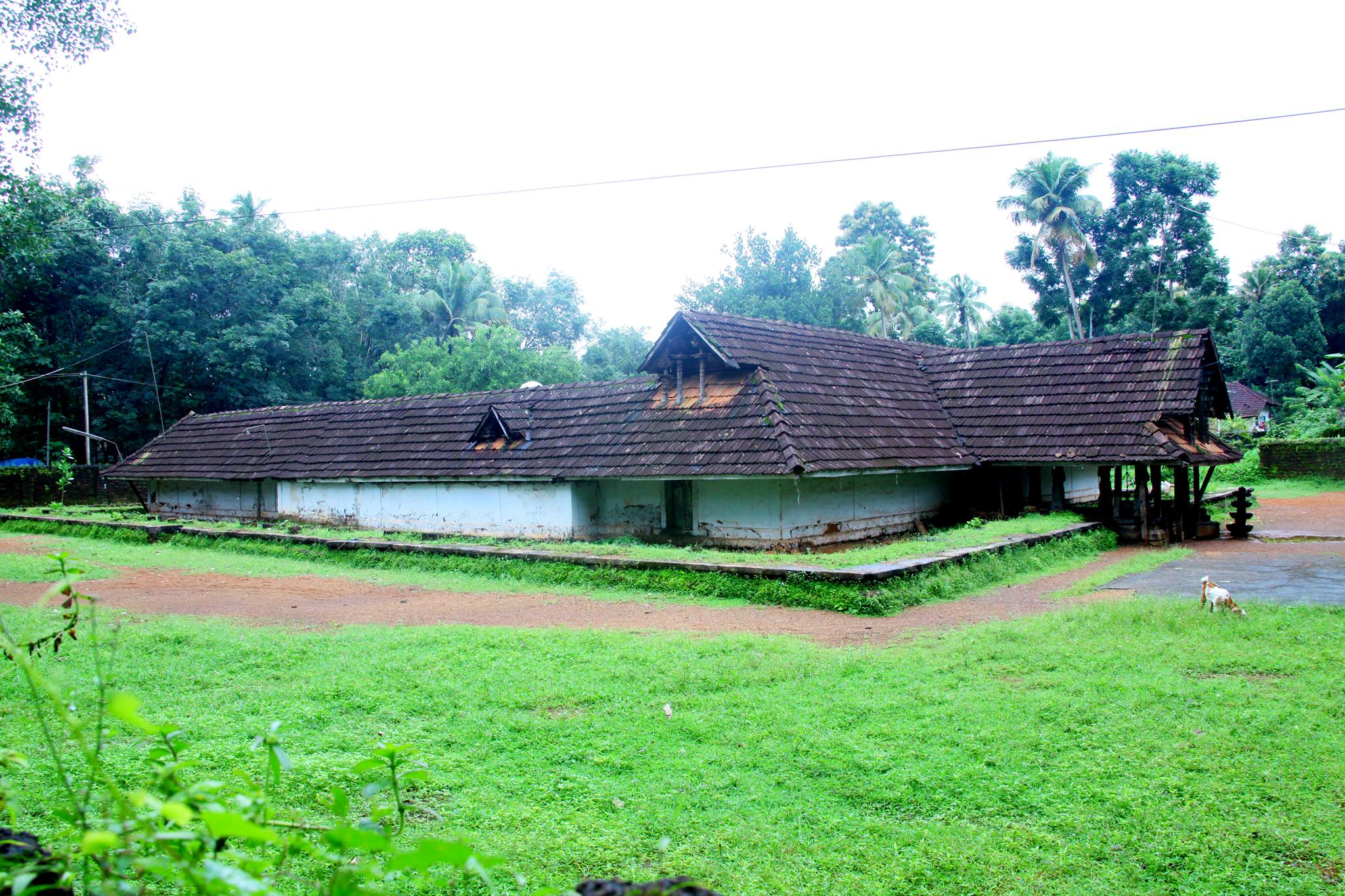 Koothattukulam Mahadeva Temple Ernakulam