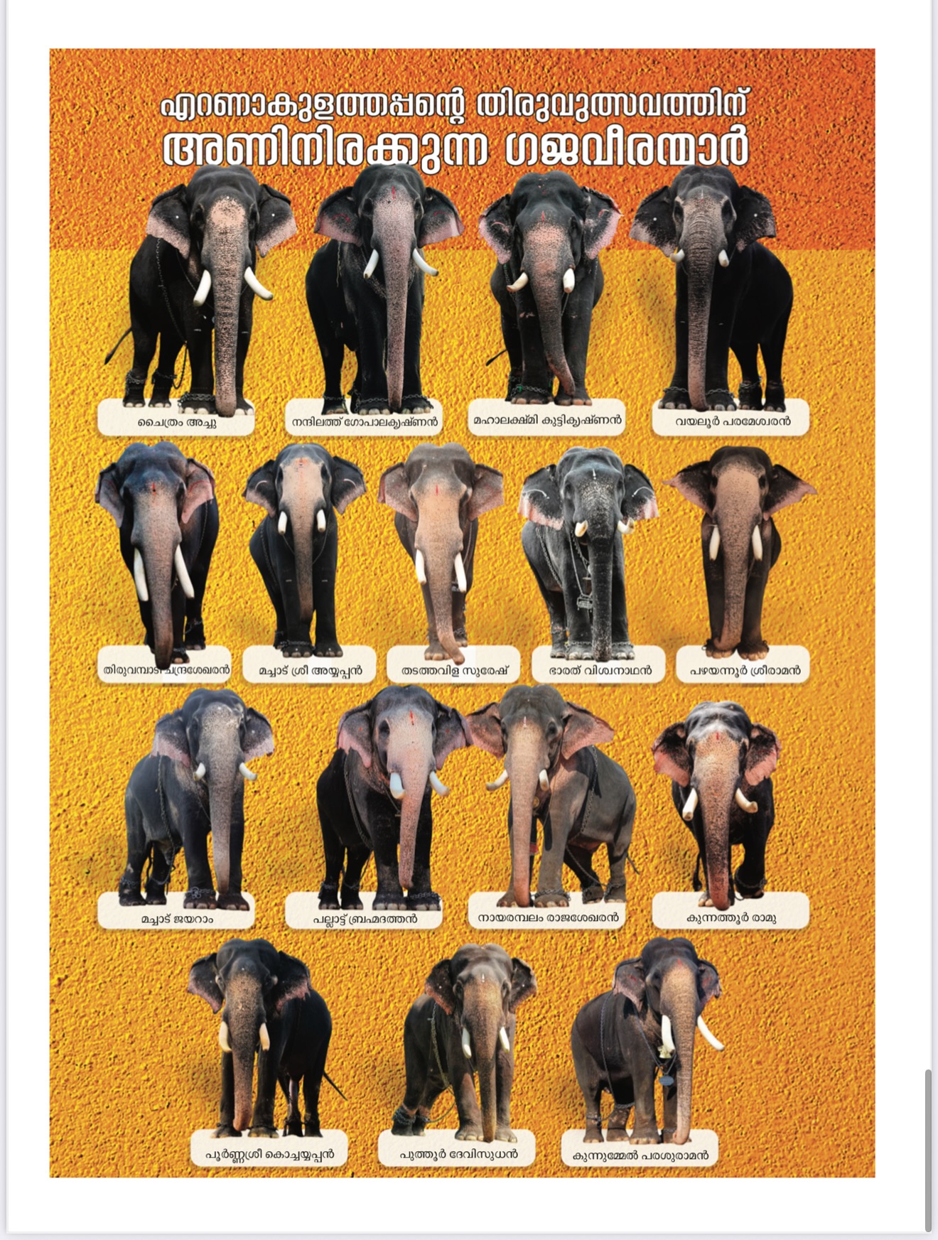 Thayambaka performance at Ernakulam Shiva Temple