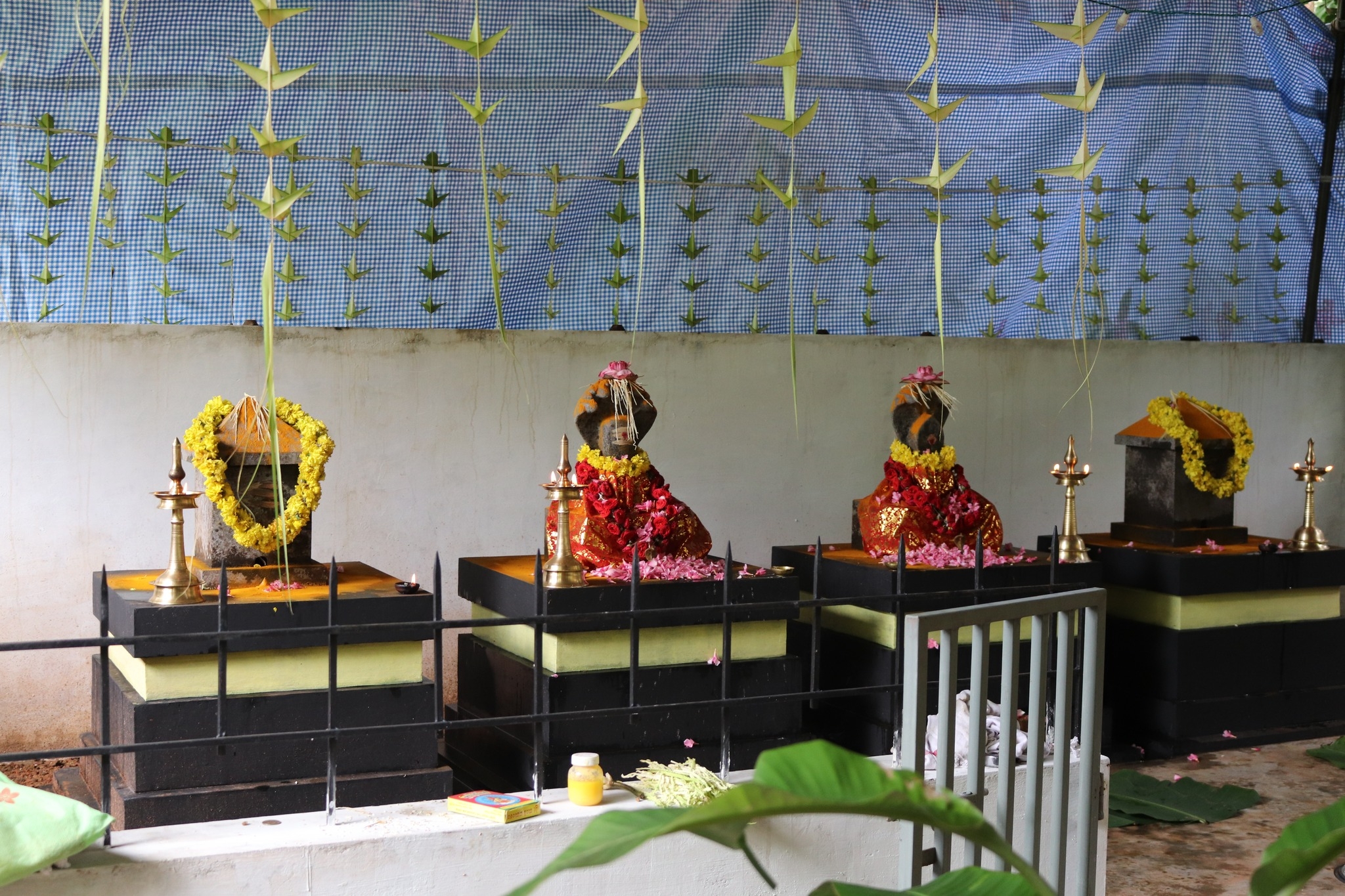 Images of Idukki Puthiyakavu Sree Bhagavathi Nagaraja Temple