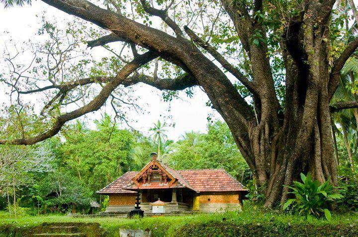 Vallikuni Sree Bhagavathi  kannur