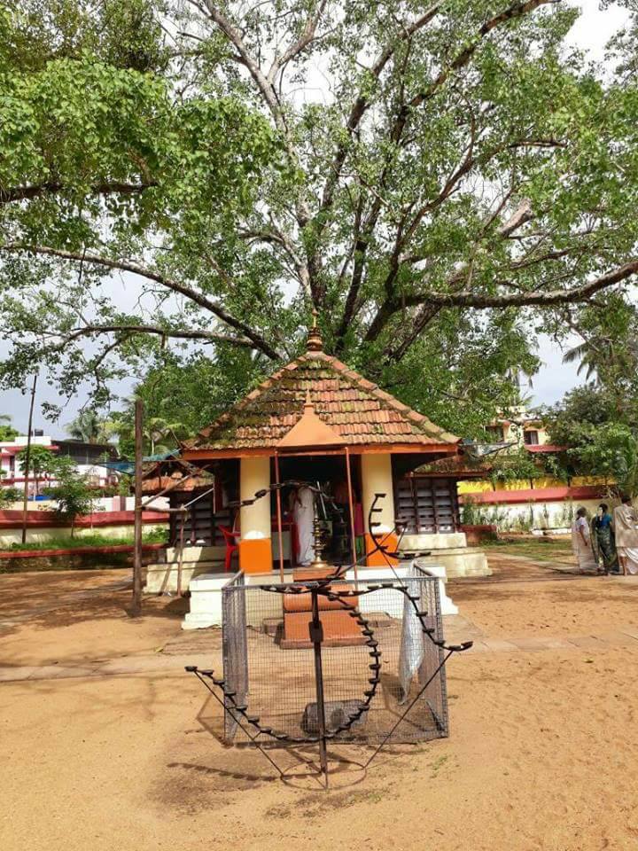 Elangode Mahavishnu Bhadrakali Temple