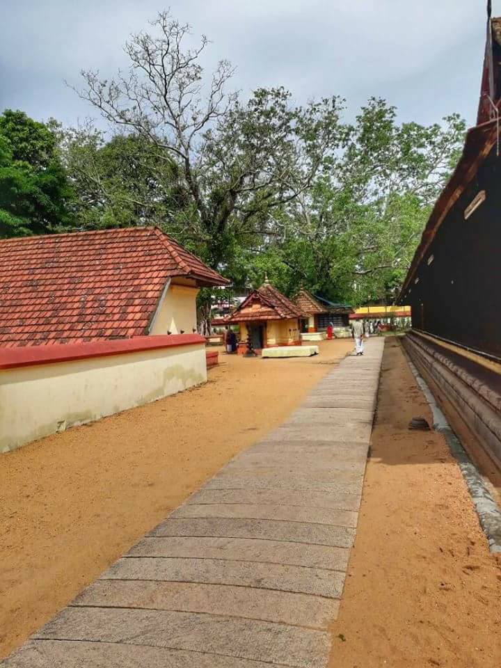 Elangode Mahavishnu Bhadrakali  kannur Dresscode