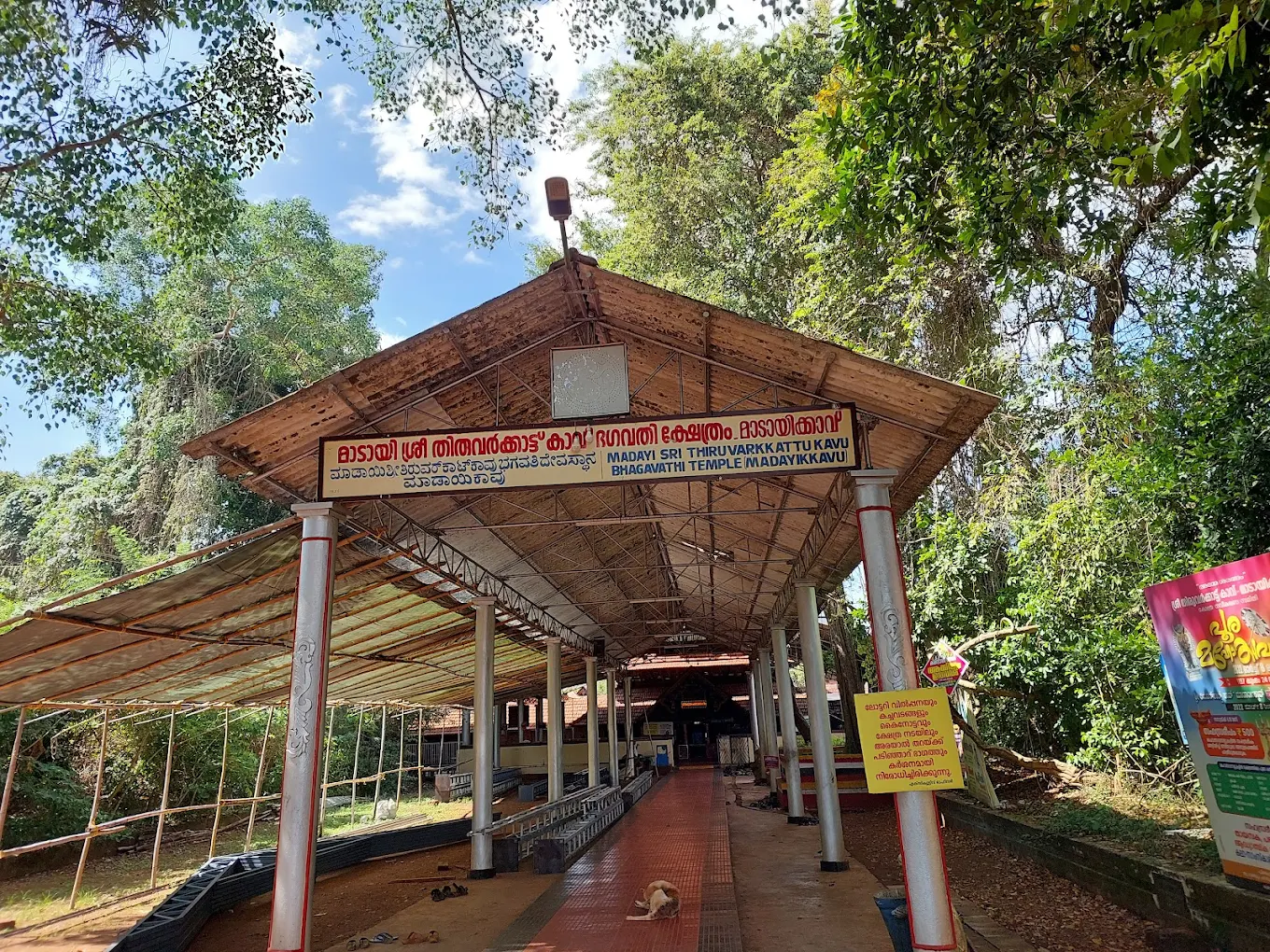Madayi Kavu Sri Thiruvarkkaattu Kaavu Bhagavati Temple kannur non vegetarian offering tradition