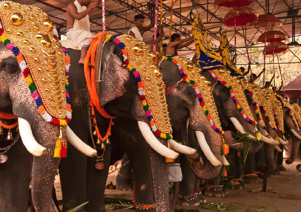 Thrissur Pooram Madayi Kavu Sri Thiruvarkkaattu Kaavu Bhagavati Temple  Kannur Kerala