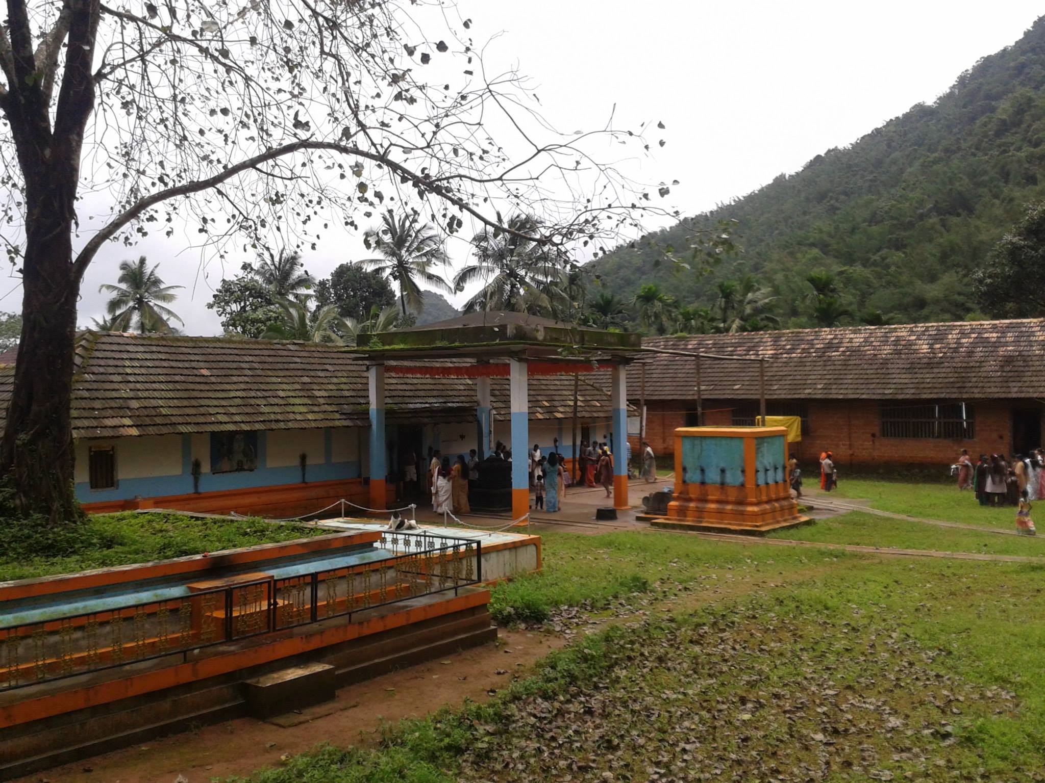 Peruthady    Sree BhagavathiTemple Kasaragod Dresscode