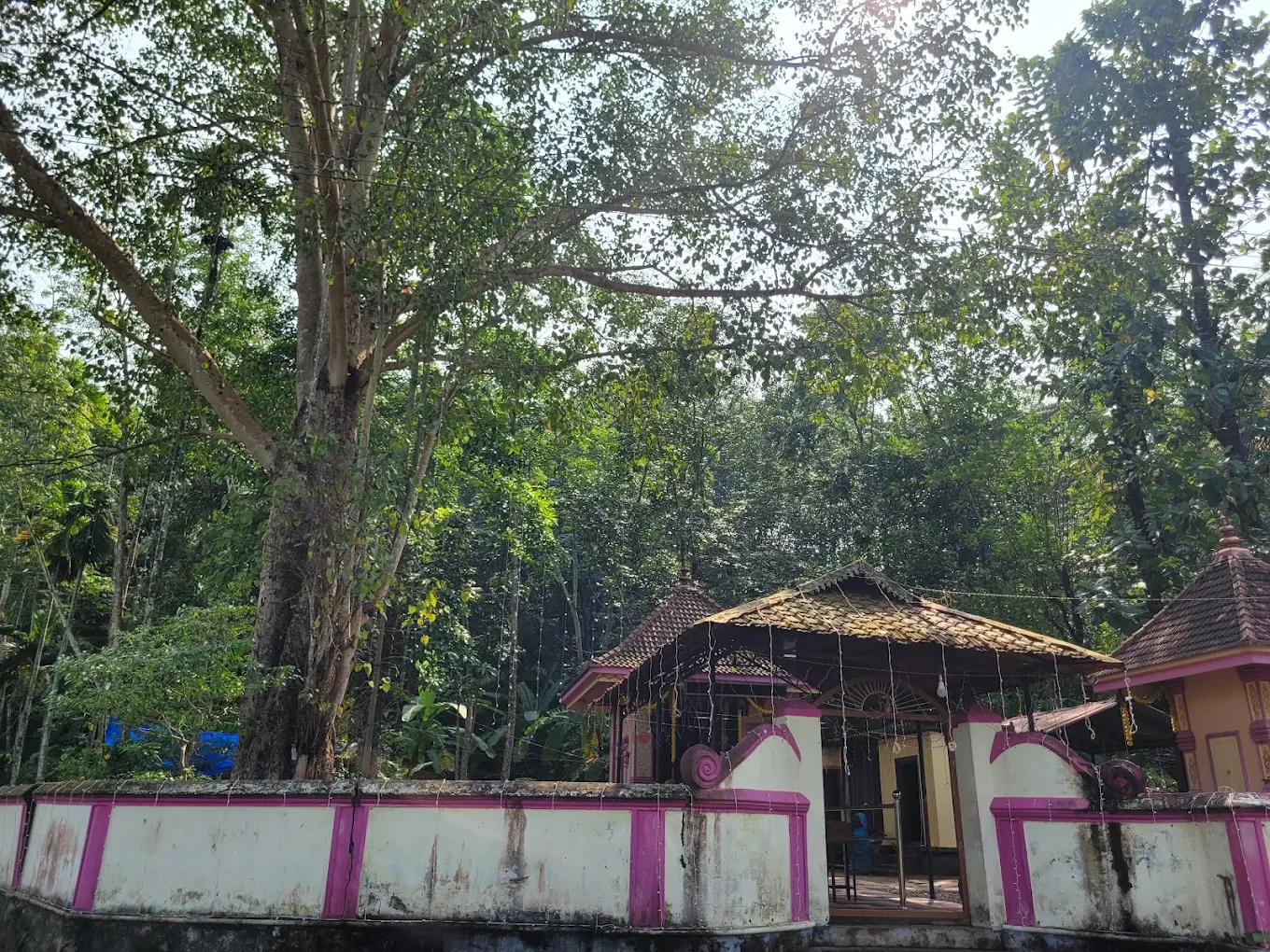 Narickal Poongottu Devi Temple