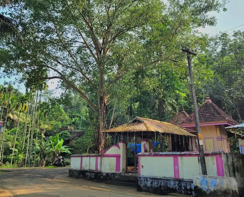  Narickal Poongottu Devi Temple in Hinduism