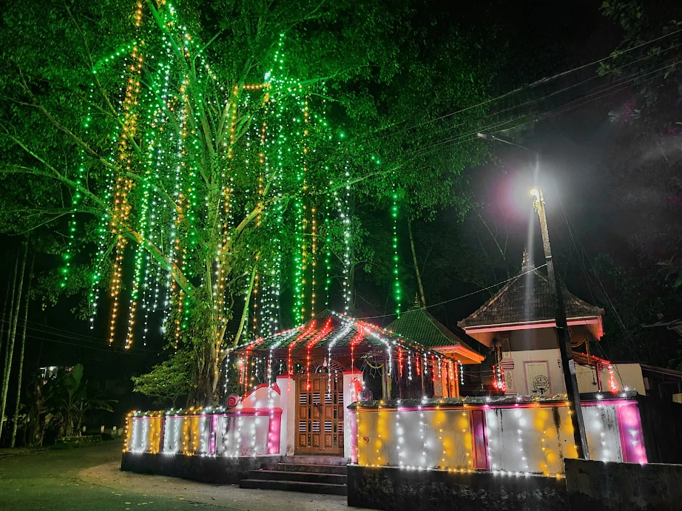  Narickal Poongottu Devi Temple in Kerala