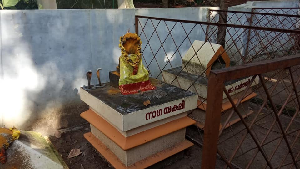 Images of Kollam Meeyana Naagayekshikkavu Sree Durga Devi  Temple