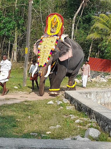 Images of wayanad Adichanalloor Devi Temple