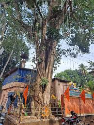 Durgapuri Sree Madan Kovil Sree Bhagavathi Temple wayanad Dresscode