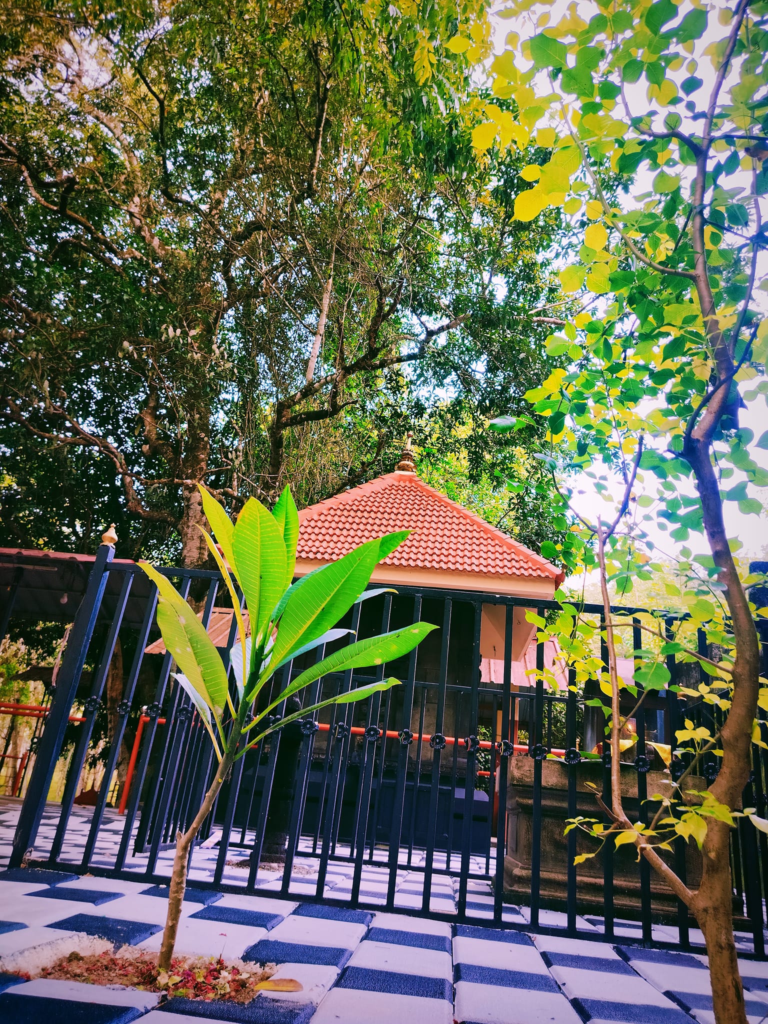 Images of Kollam Peringelikonam Devi Temple