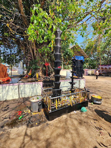 Images of Kollam Kottankulangara Devi Temple