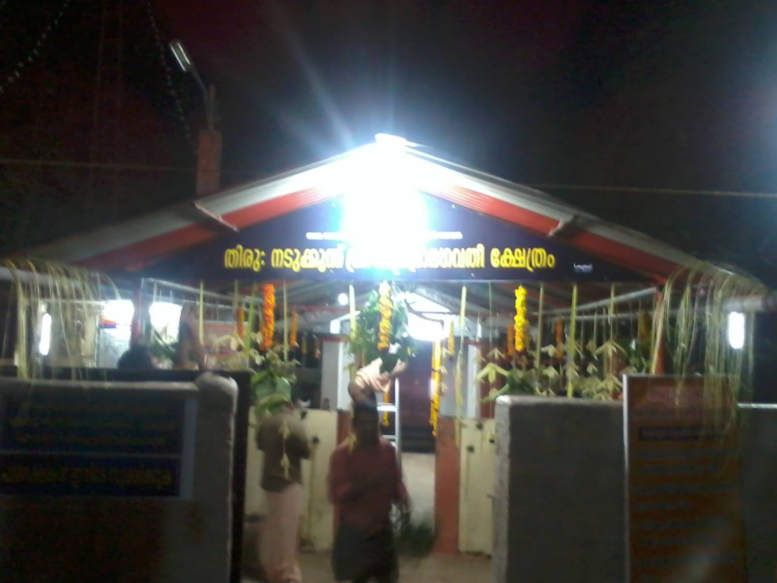  Nadukkunnu Bhadra Bhagavathi  Temple Kollam Dresscode