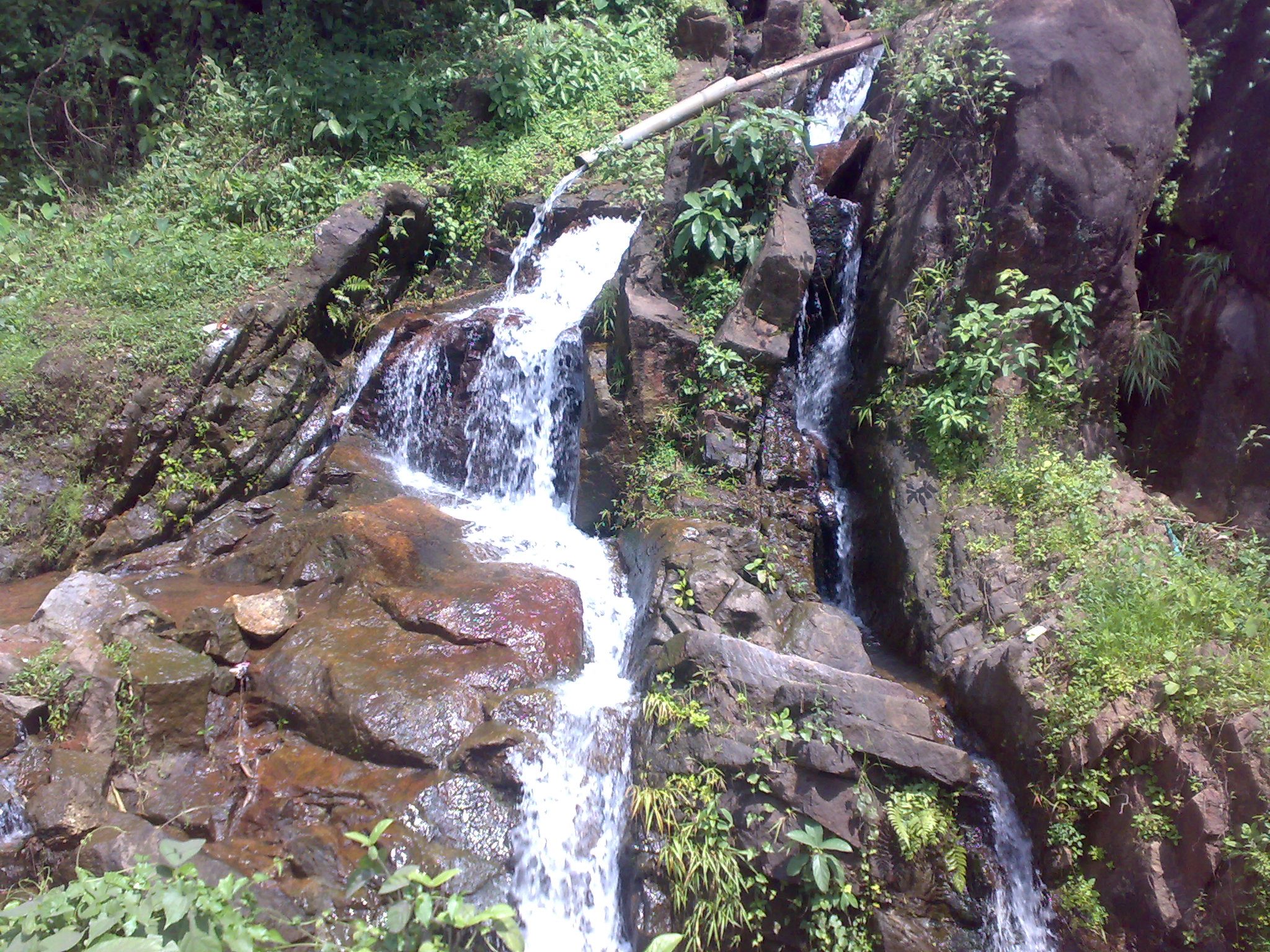  Palakkara Subramanya Swami   is an Shakthi devi in Hinduism