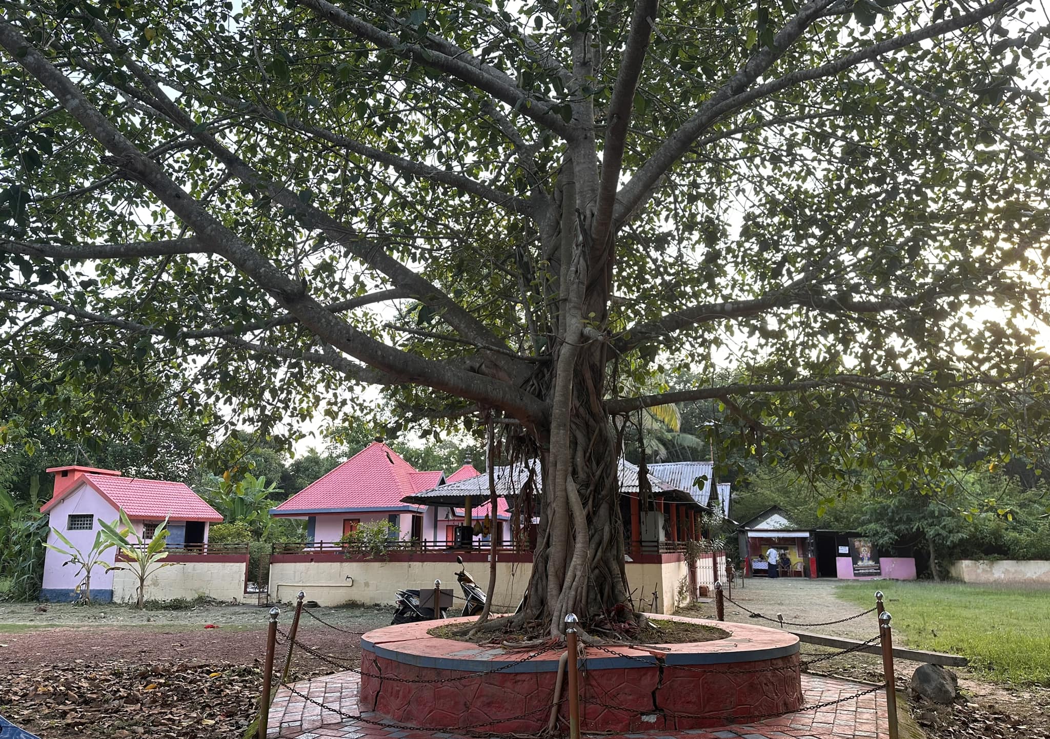 Images of Kollam Pattupana Sree Devi Temple