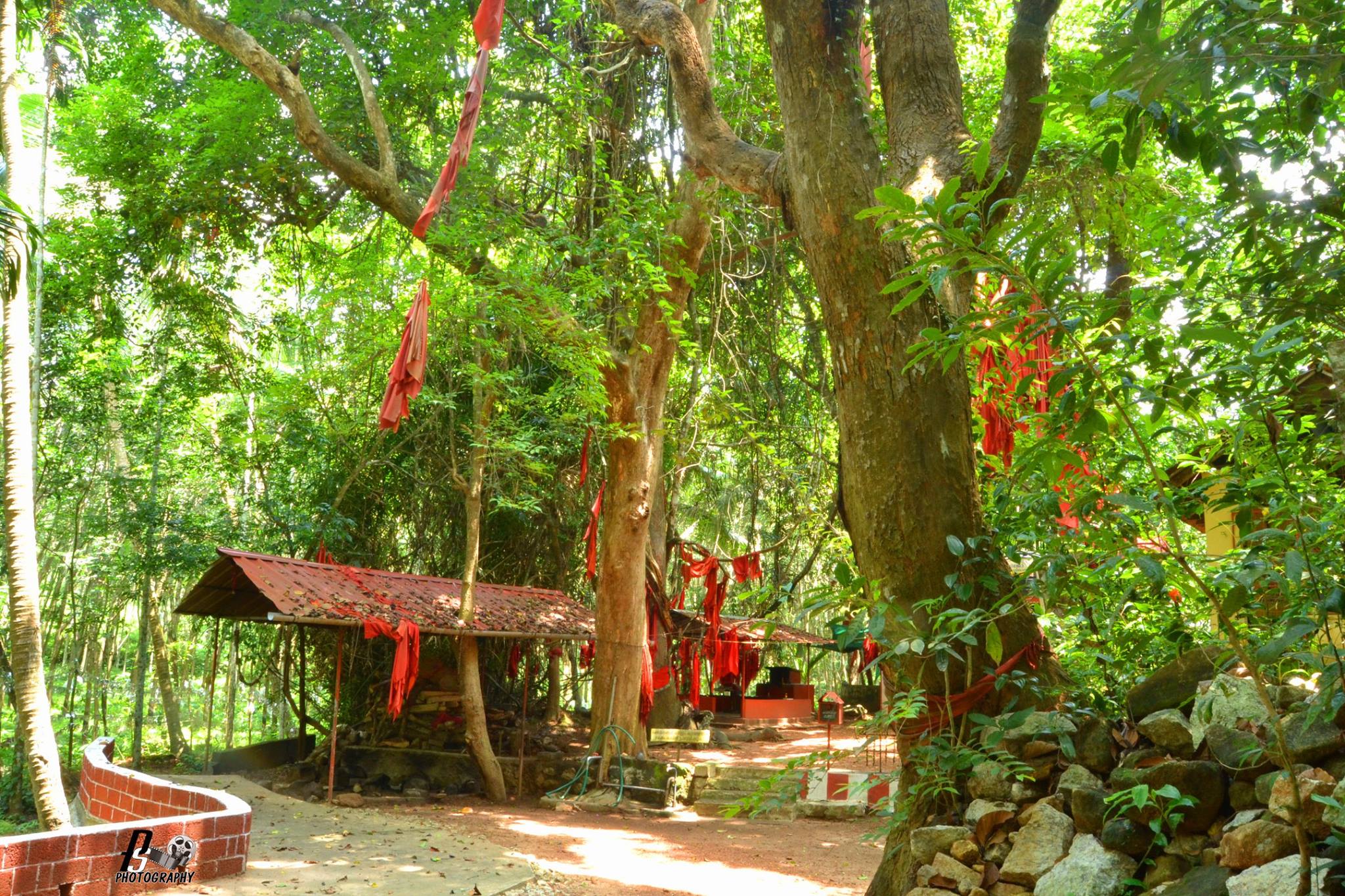  Maravanchira deviTemple Kollam