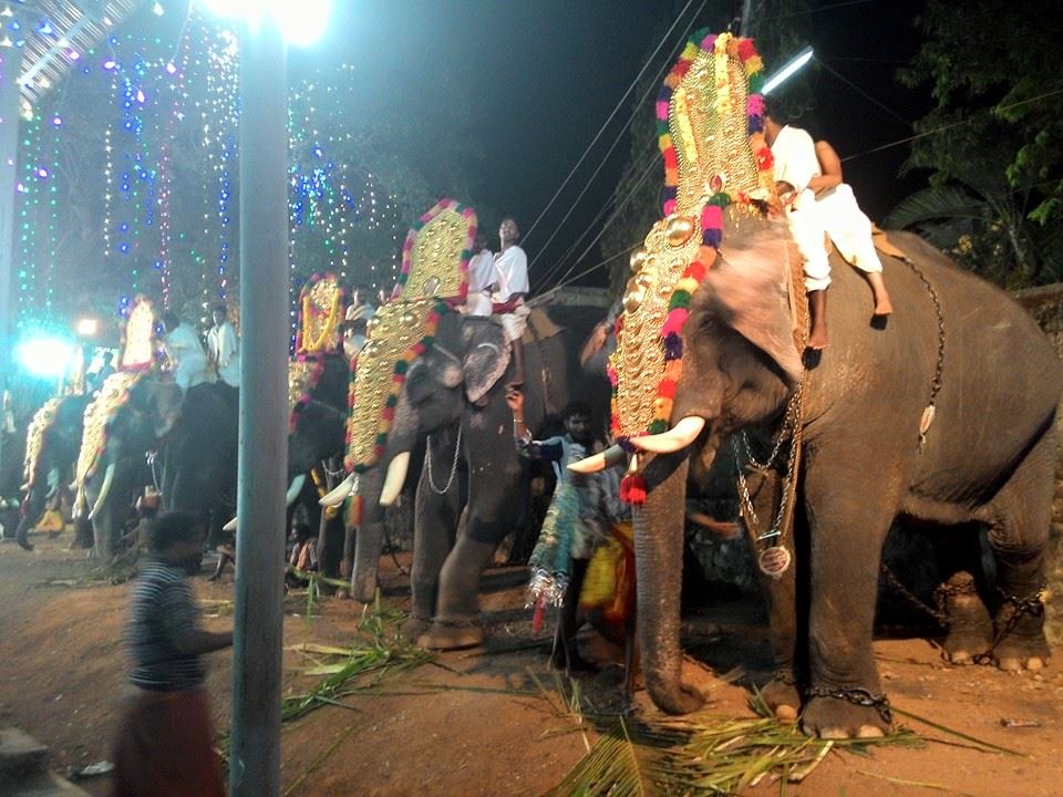  Nedumancavu Sree Dharma Shastha  Temple in Kerala