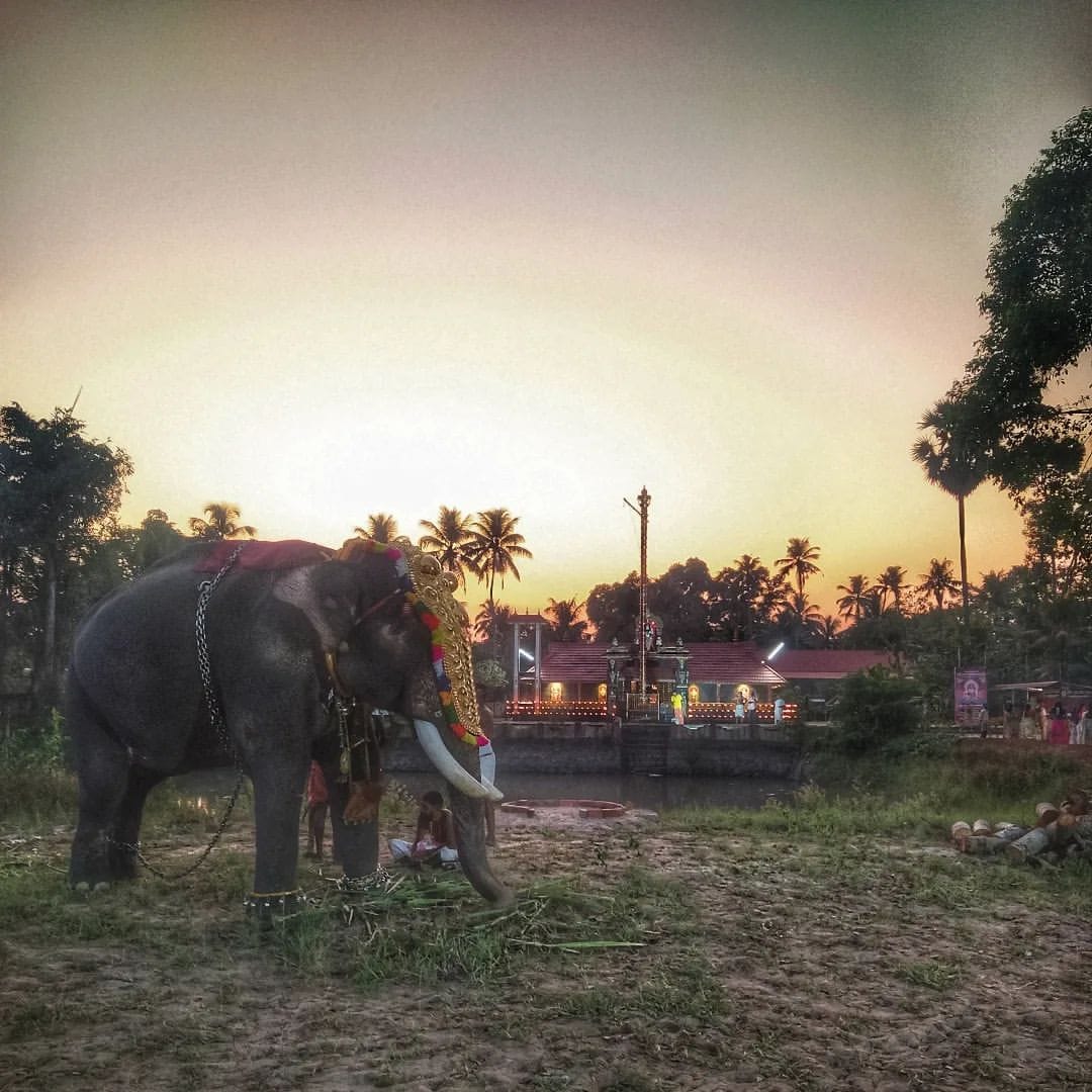 Pulimukhathu Sree Bhadra Bhagavathi Temple in Kerala