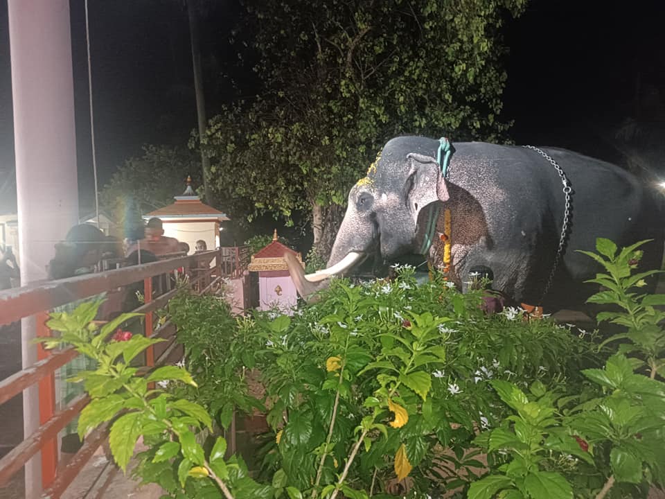 Panamoodu Kudumba Mahadeva is an Shakthi Devi in Hinduism